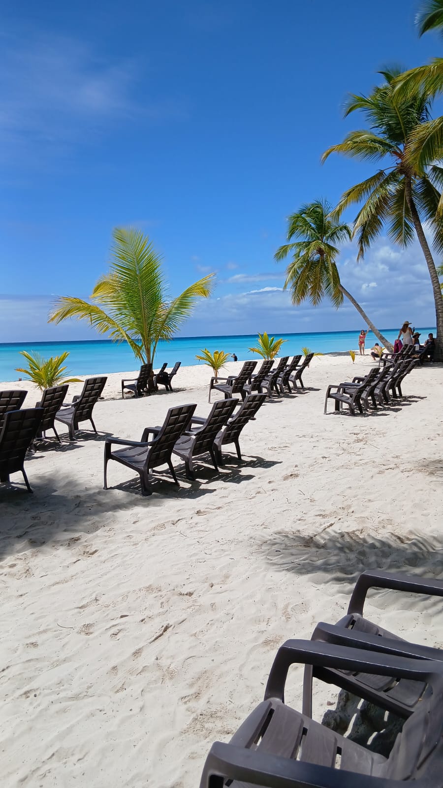 Punta Cana beach with palm trees and turquoise water