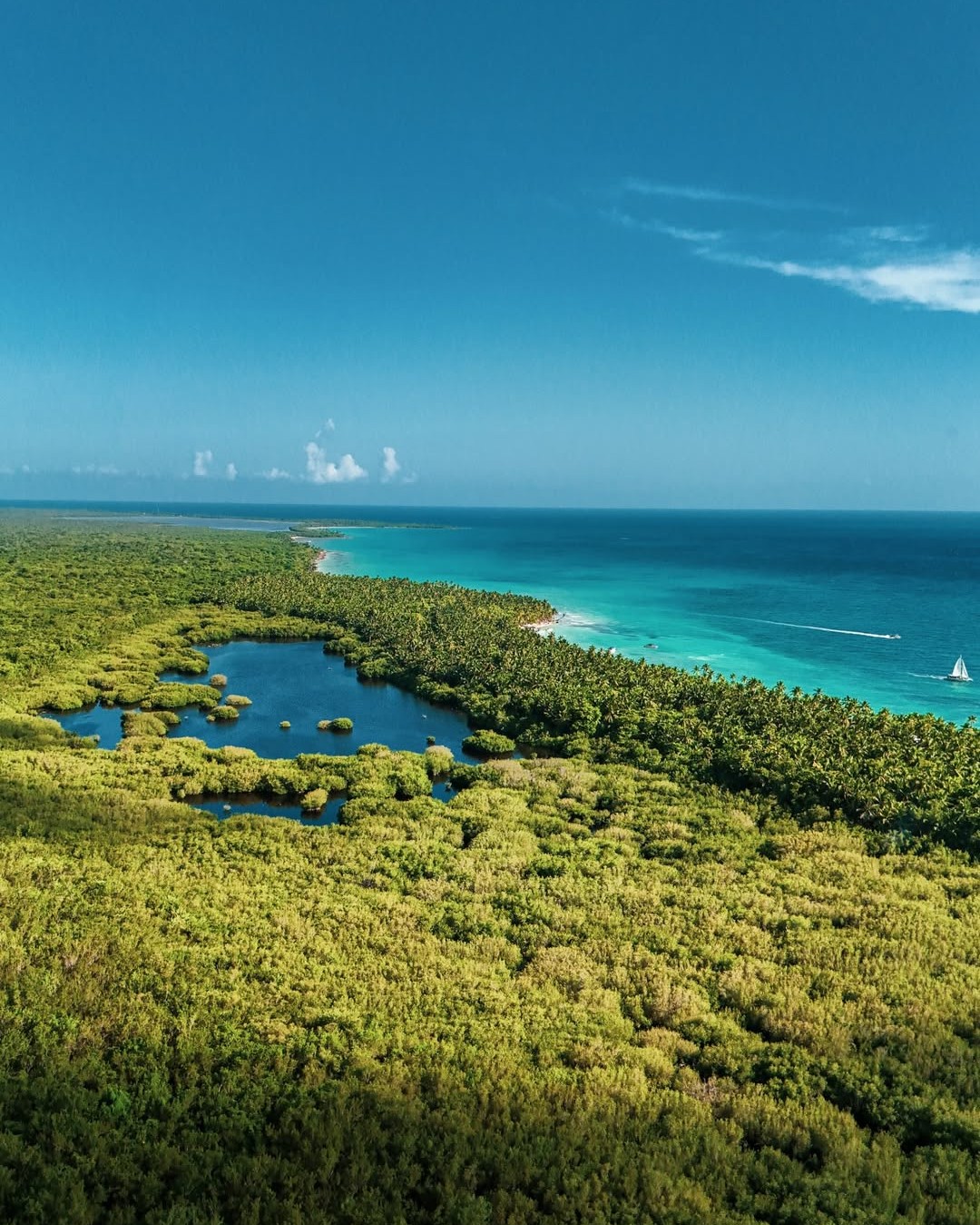 Saona Island: the Dominican Caribbean's signature excursion