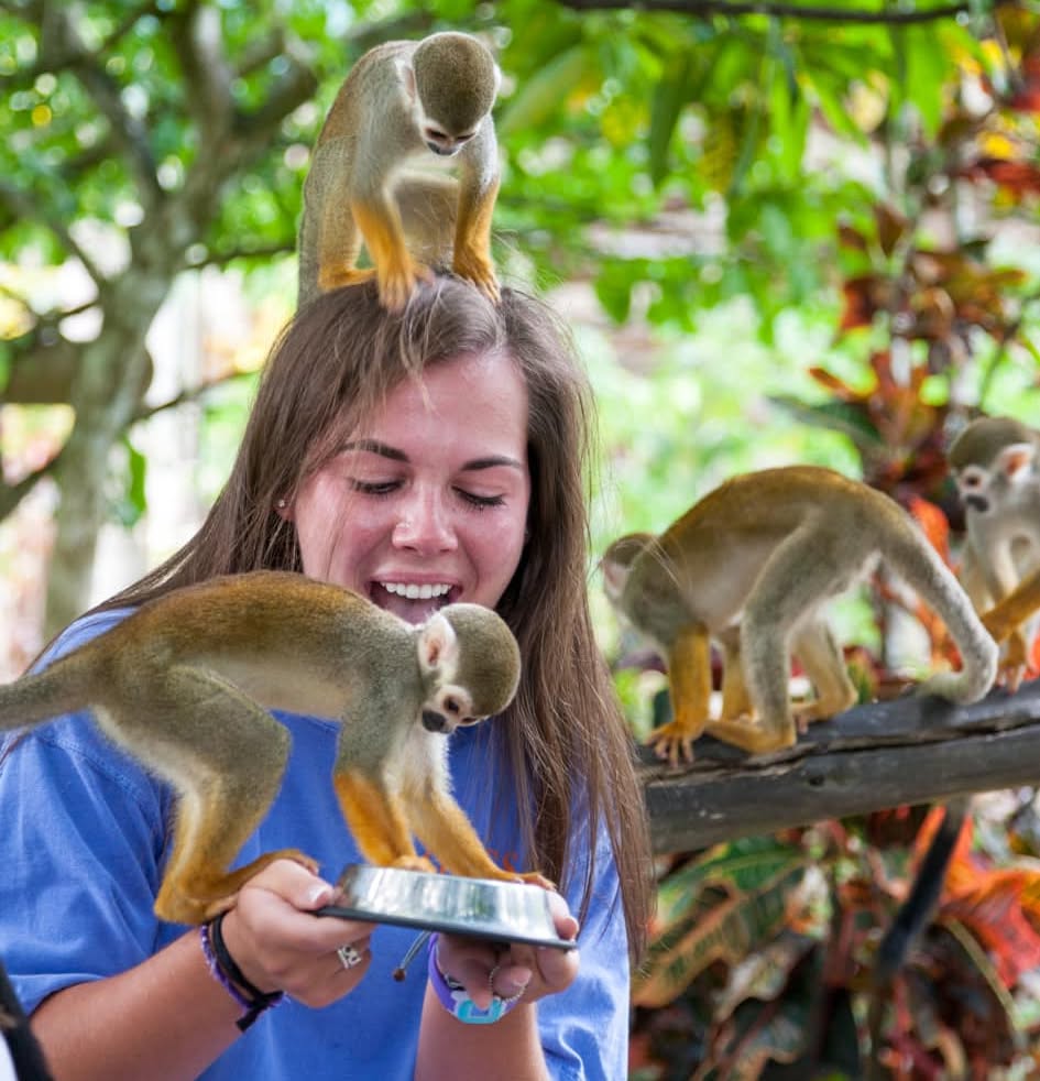 Visitors at Monkeyland
