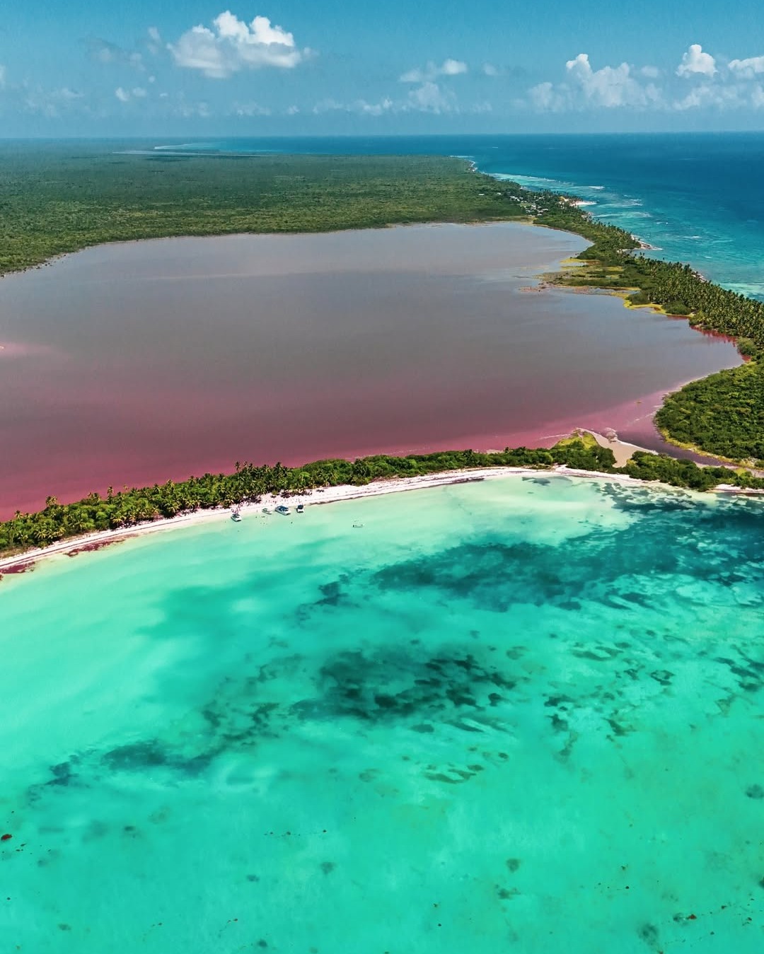 Private VIP Saona Island — Punta Cana
